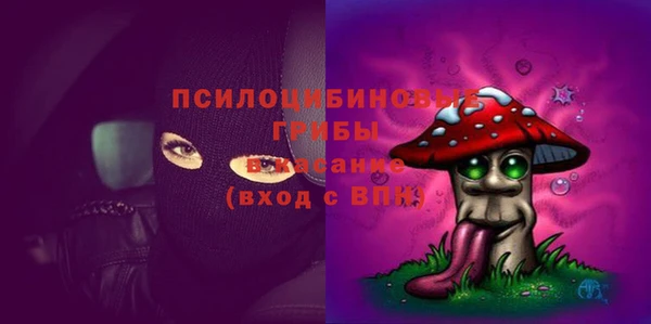 ECSTASY Медногорск
