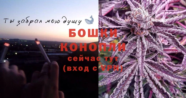 ECSTASY Медногорск
