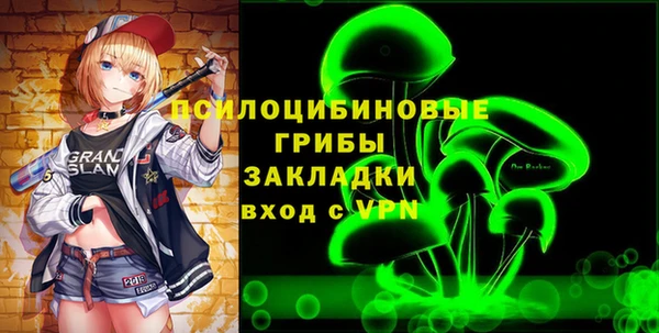 гидропоника Гусев