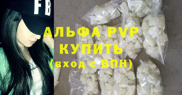 гидра Инсар