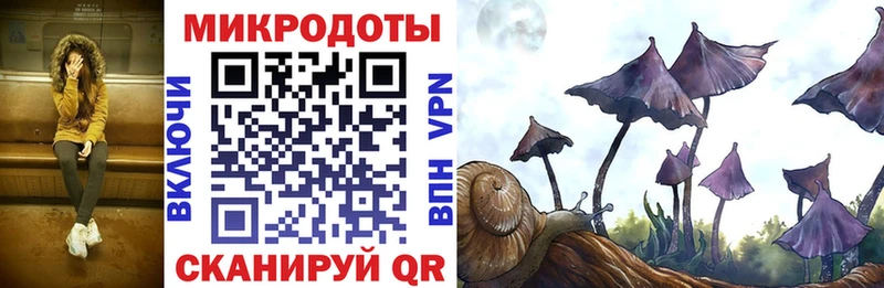 Галлюциногенные грибы прущие грибы  сколько стоит  Луховицы 