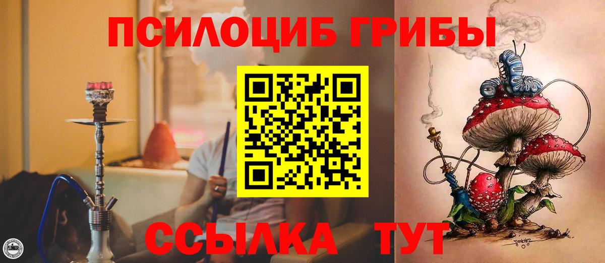 Псилоцибиновые грибы Cubensis  Псилоцибиновые грибы Psilocybine cubensis  Вход с VPN  Луховицы 